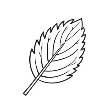 Doodle Vector Illustration of a Mint Leaf in Cartoon Style Illustrazione stock