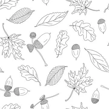 Doodle vector seamless pattern with autumn leaves and acorns on white. Stock Illustration