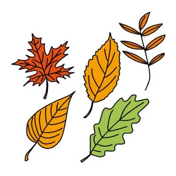 Doodle vector set of autumn leaves. Design of posters, kitchen textiles Illustrazione stock