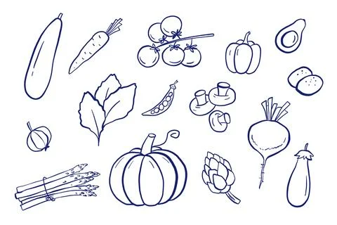 Doodle vegetables hand drawn illustrations set. Outline pumpkin, zucchini, ca Stock Illustration