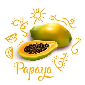 Doodles Around Papaya Composition Stock Illustration