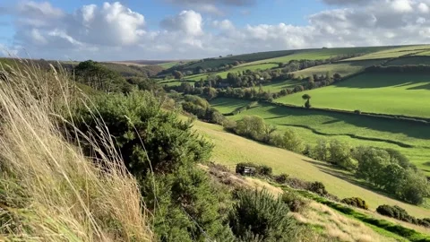 The Doone Valley and the distant Oare Church, Exmoor, England, UK Stock Footage 288839947