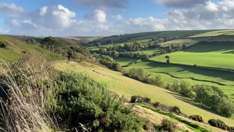 The Doone Valley and the distant Oare Church, Exmoor, England, UK Stock-Footage 288839949