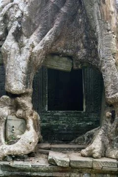 Door and root Stock Photos