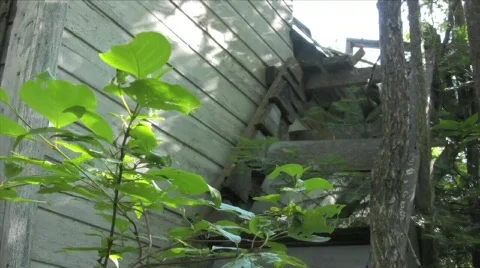 Door and window Stock Footage 283327