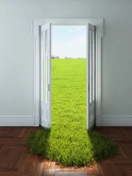 Door with bright green grass Stock Illustration