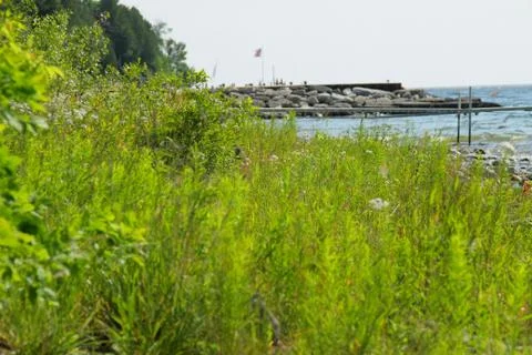 Door County Beach Fotos Stock