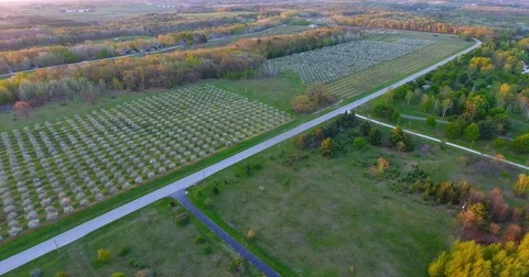 Door County Cherry Fields Video stock 75874015