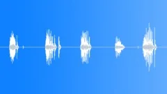 Door creak Sound Effect
