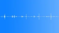 Door Doors Wood Door Int Close Up Various Quiet Opens & Closes Squeaky HandleSound Effect