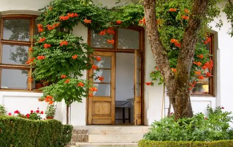 Door entry into house from garden with flowers Stock Photos