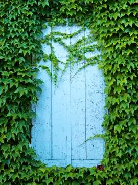 Door framed by plants Stock Photos
