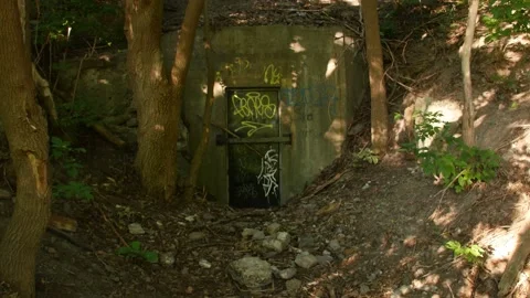 Door with Graffiti on it in the Woods Stock Footage 199456007