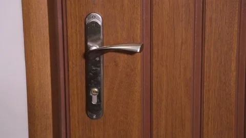 Door handle close-up 2 Stock Footage 317948836