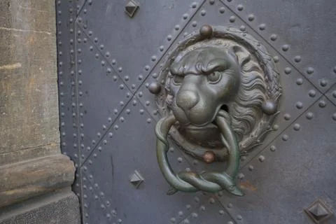 Door handle in a shape of lion Photos