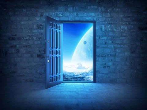 The door Stock Illustration