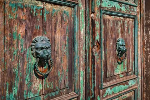 Door knobs in the shape of lion's head on old wooden door. Stock Photos