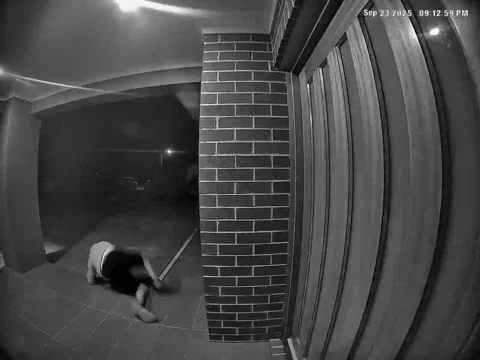 Door-Knocking Dingus Falls Down, Lake Albert, New South Wales, Australia - 23 Se Stock Footage 318622489