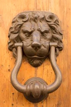 Door lion knocker Stock Photos