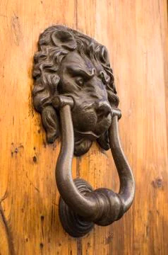 Door lion knocker Foto stock