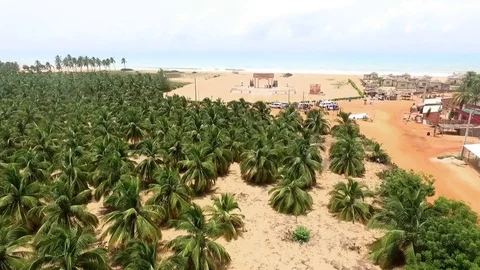 Door of no return, between palm trees and ocean Stock Footage 81075049