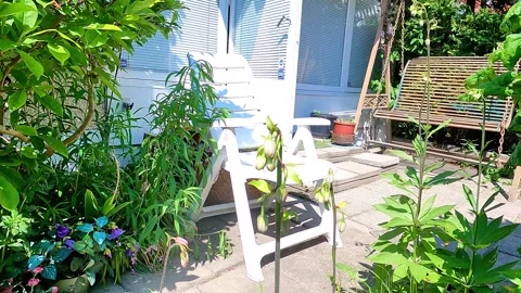 The door is open to the small patio outside the house. All windows have blinds Stock Footage 315512844