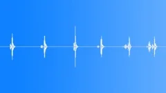 Door Opening and ClosingSound Effect