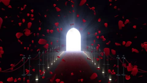 Door Opening to the Light CD F2 In 6 Flower Video stock 149212724