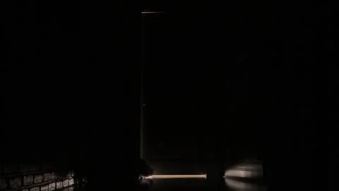 Door opening ominously on a cat Stock Footage 259851199