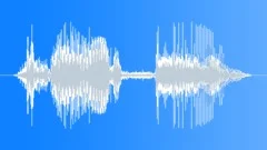 Door Slamming Shut 01Sound Effect