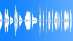 Door squeak creak SFX collection (20 SFX)Sound Effect