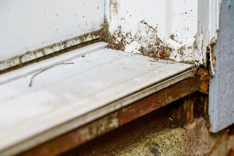 Door Threshold Rot Moisture Damage Repair Stock Photos