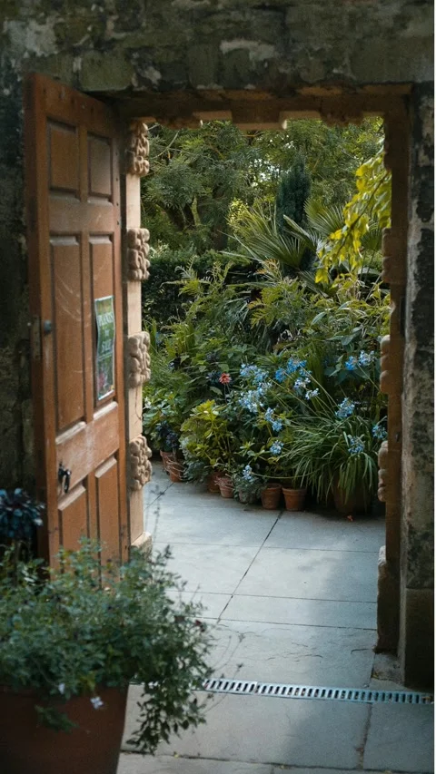 The door is wide open Vidéo 256073133