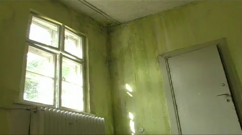 Door window peace 動画素材 374645