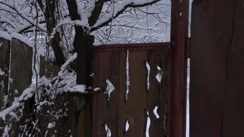 Door to the winter garden Stock Footage 232602903