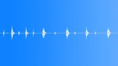DOOR,GATE Sound Effect
