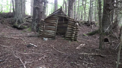 Doorless log cabin Stock Footage 27732183
