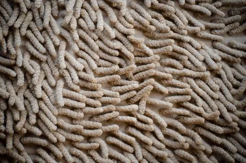 Doormat carpet mat texture background Stock Photos