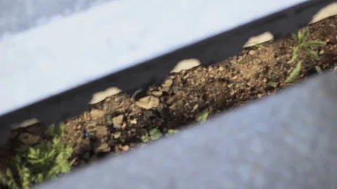 Doors  closing train platform safety Stock-Footage 107839949