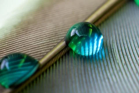 Doors of different colors, clean drops on a feather Stock Photos