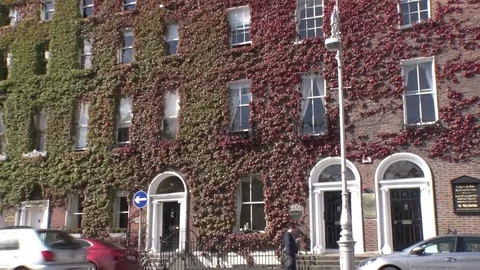 Doors of Dublin, Ireland 스톡 동영상 80905983