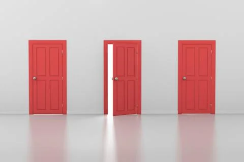 Doors Stock Illustration
