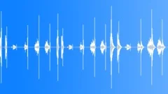 DOOR,SLIDING Sound Effect