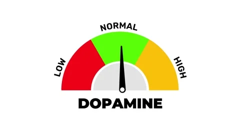 Dopamine Level Gauge Animation Low, Normal, High Indicator Meter Stock Footage 316959854