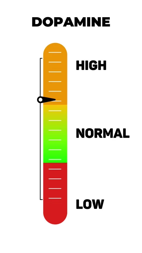 Dopamine Level Vertical Gauge Animation Low, Normal, High 库存影片 316959848