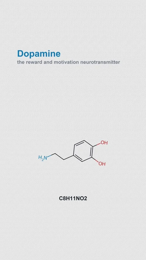 Dopamine Molecular Structure Labeled Chemistry Alpha 4K Vertical 9x16 Light Stock Footage 340007548