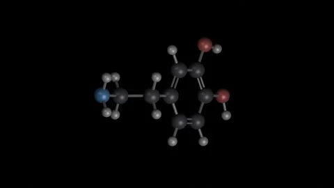 Dopamine molecule 3D building and rotating on black, 4K scientific loop Vídeos de archivo 344702016