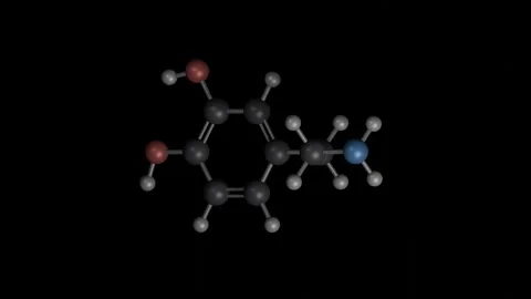 Dopamine molecule rotating 3D model, 4K scientific visualization loop Vídeos de archivo 344702018