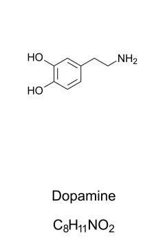 Dopamine molecule, skeletal formula Stock Illustration