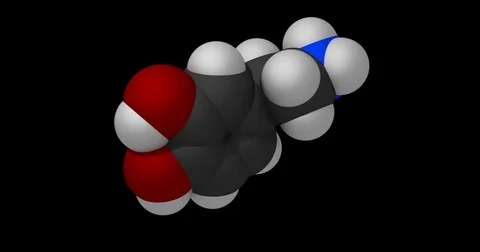Dopamine molecule, space filling model, rotating seamless loop, 3d animation Video stock 82825516
